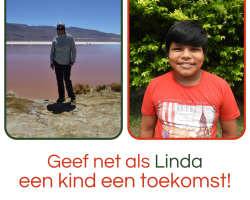 Wat onze peetouders vertellen